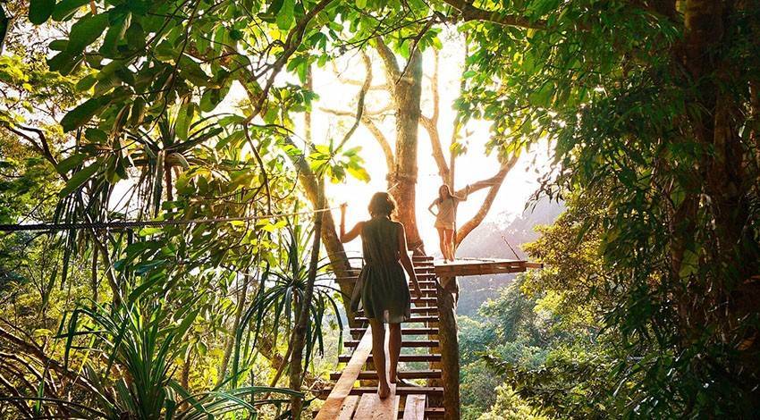 Jungle hostel work exchange program in Costa Rica